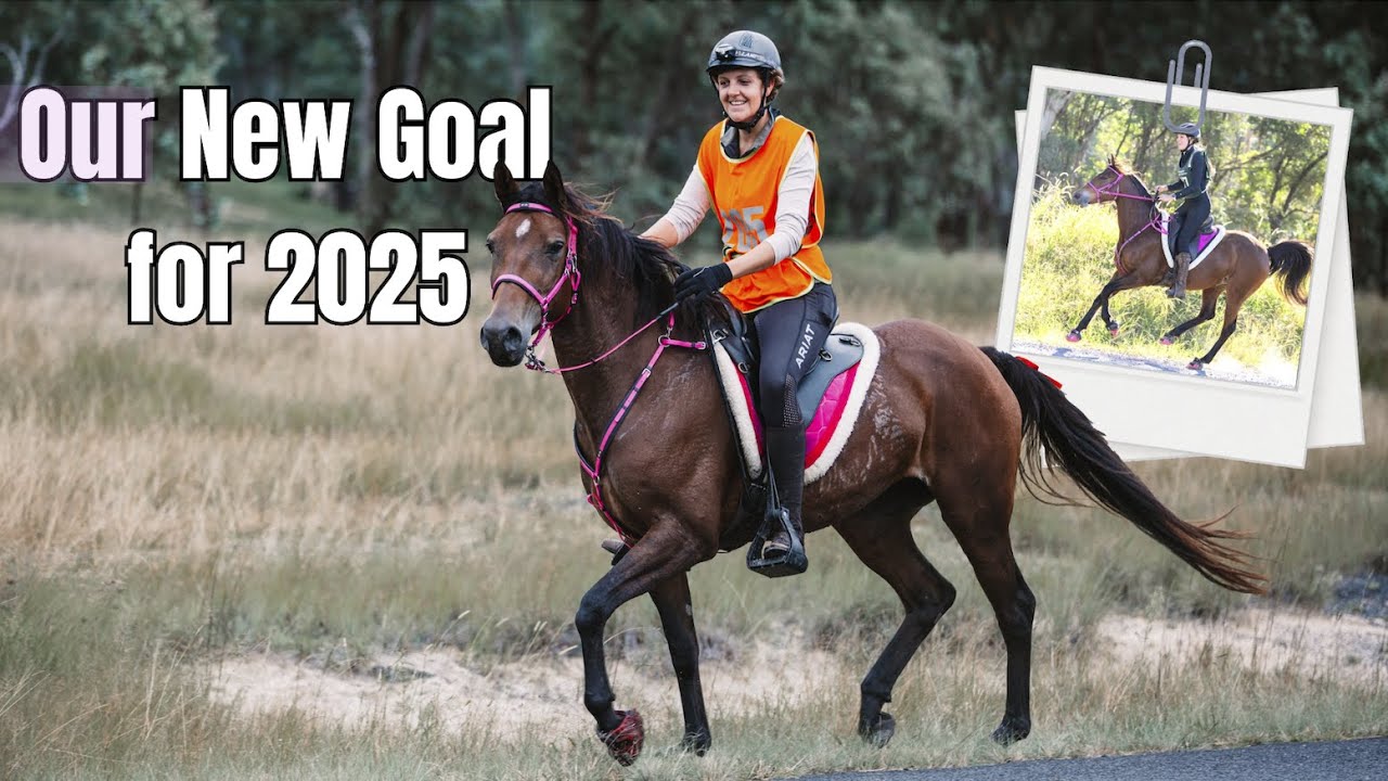I'm getting back into Endurance!