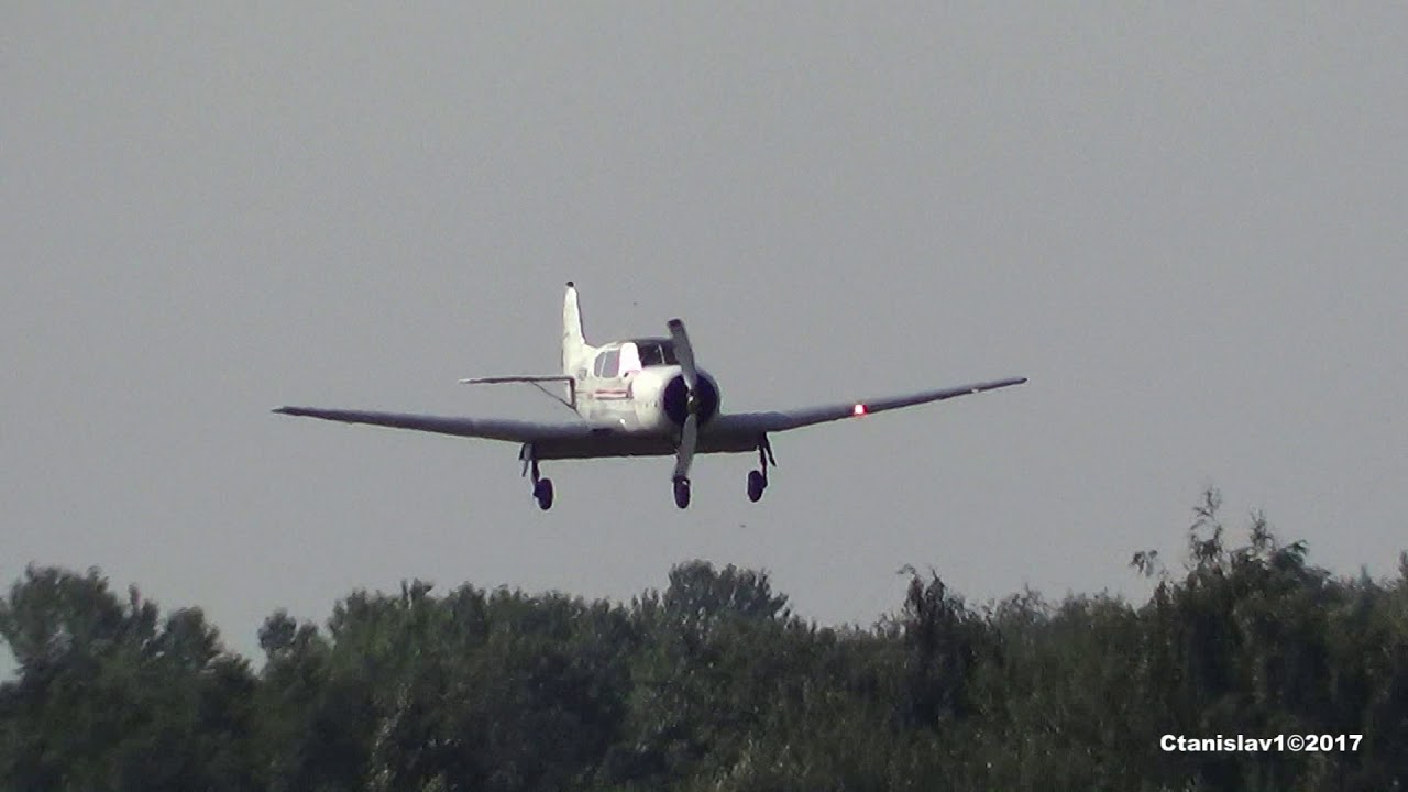 Dornier Do-27A Cessna-172M Yak-18T Pitts S2-C Robinson R44 Aviat A-1B Husky