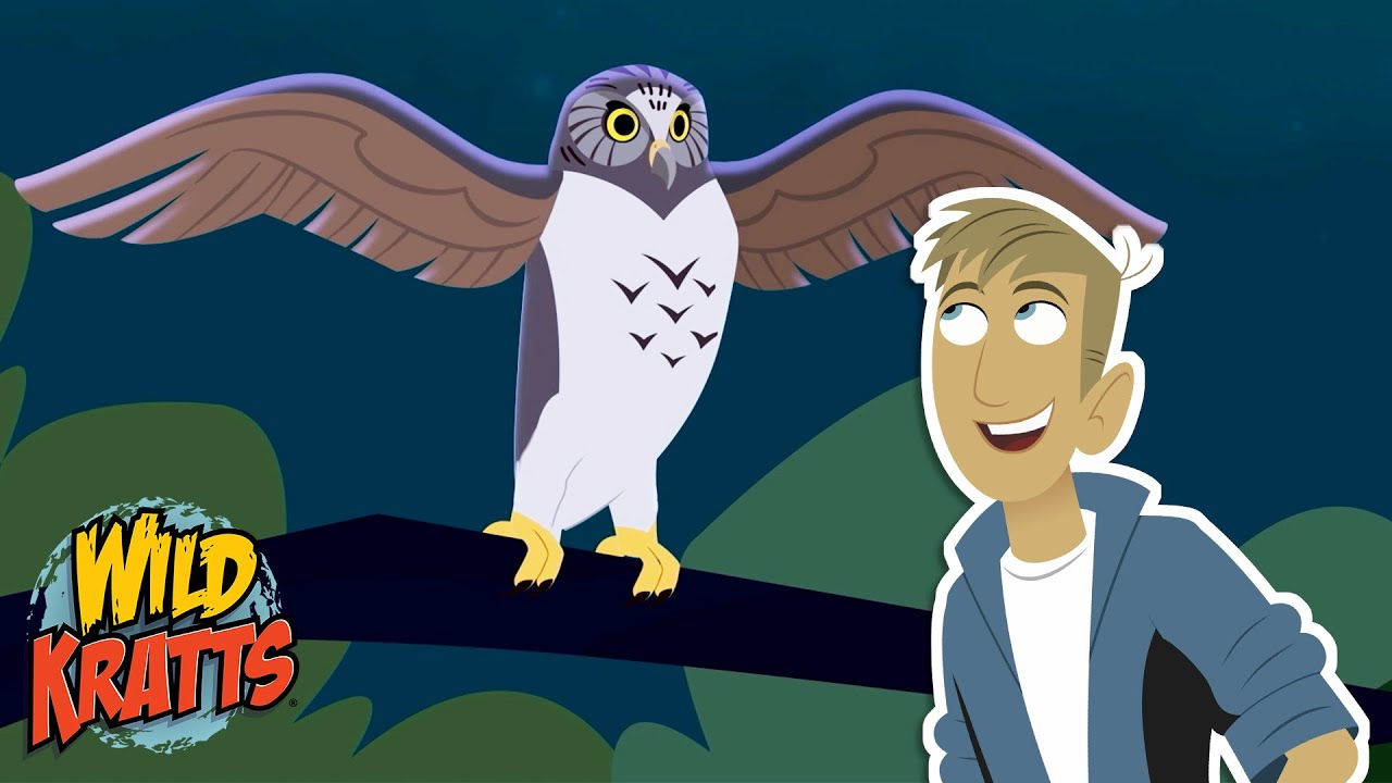 The Powerful Owl | Season 7 | Wild Kratts