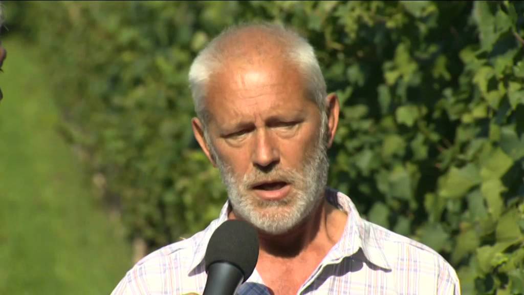 VALLAGARINA: sulle colline dove nasce il Trento DOC