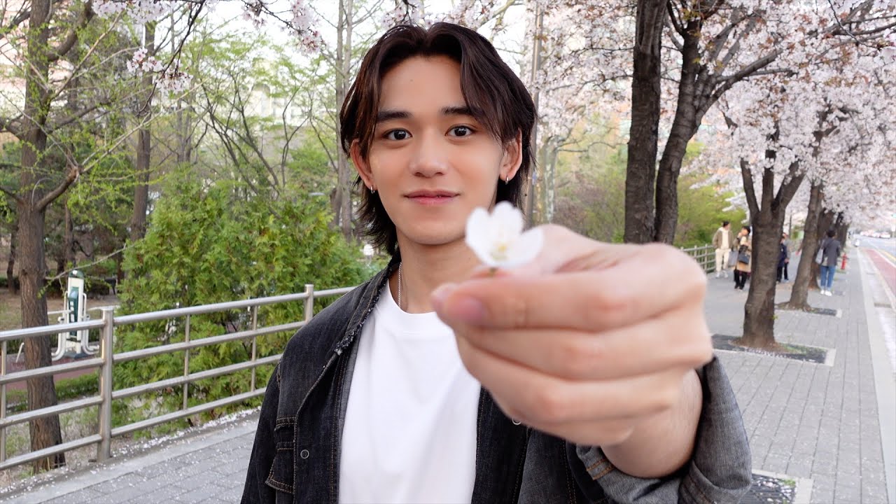 아침 너무 귀엽게 부어쓰 | LUCAS with Cherry Blossoms🌸 | LUCAS 루카스