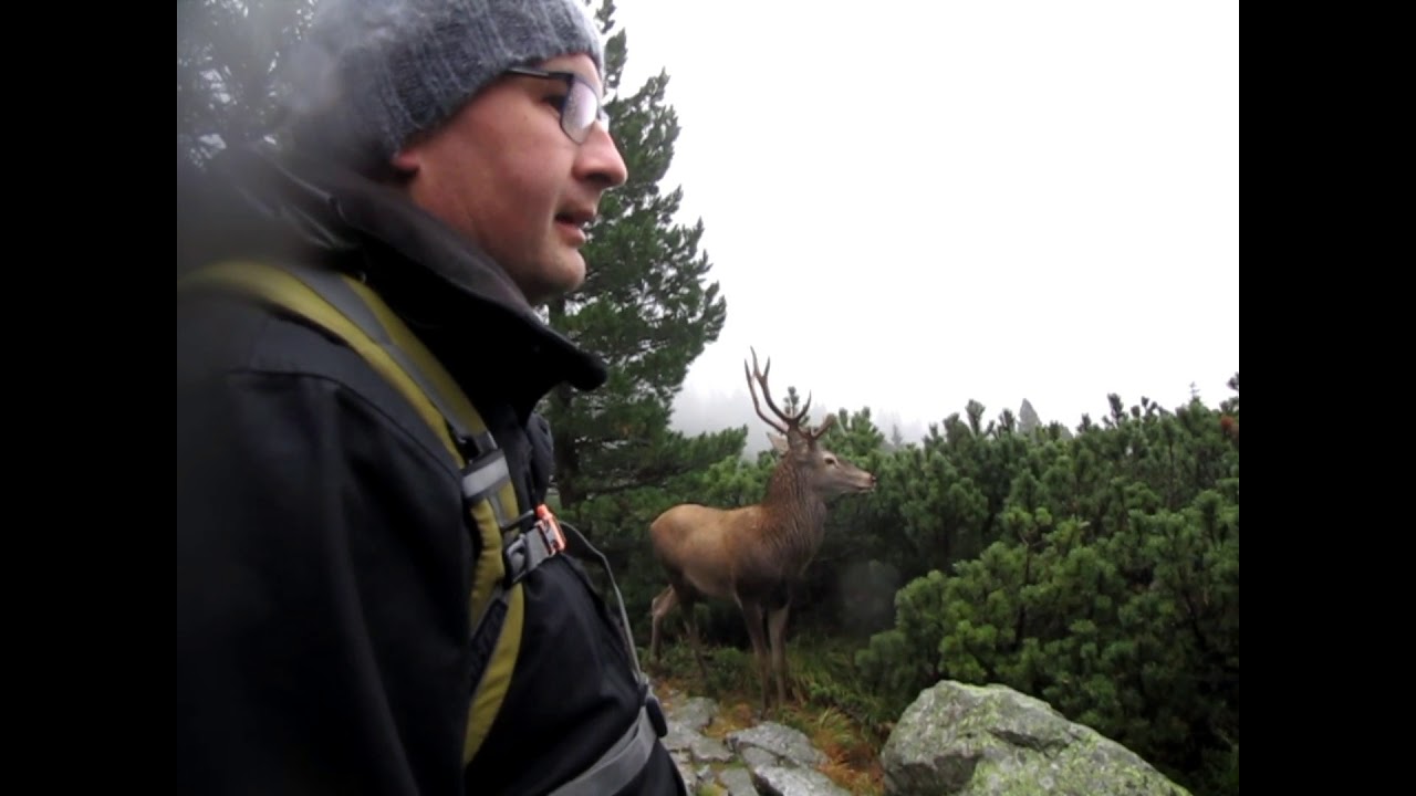 Jelen Karol - Vysoké Tatry, z Teryho chaty na Zamkovského, 23.9.2017 15:46