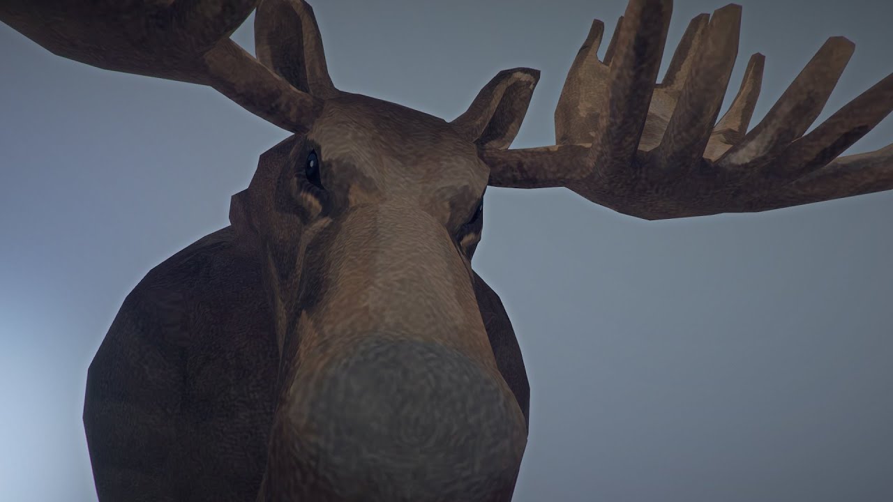 I think the MOOSE saw me