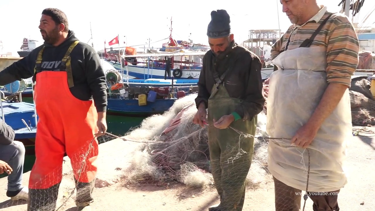 Visite du port de pêche de Sousse