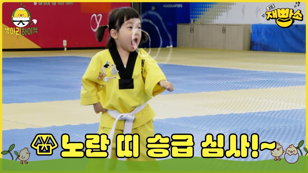 [병아리 하이킥] 🐤🥋 노란 띠 승급심사 #28 🐤