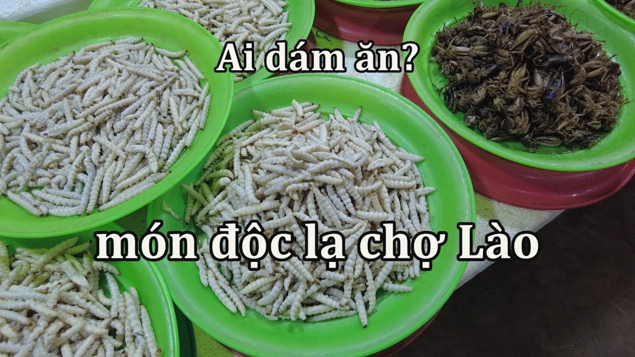 Chợ Lào Taladlao bán toàn món lạ ở Viêng Chăn.