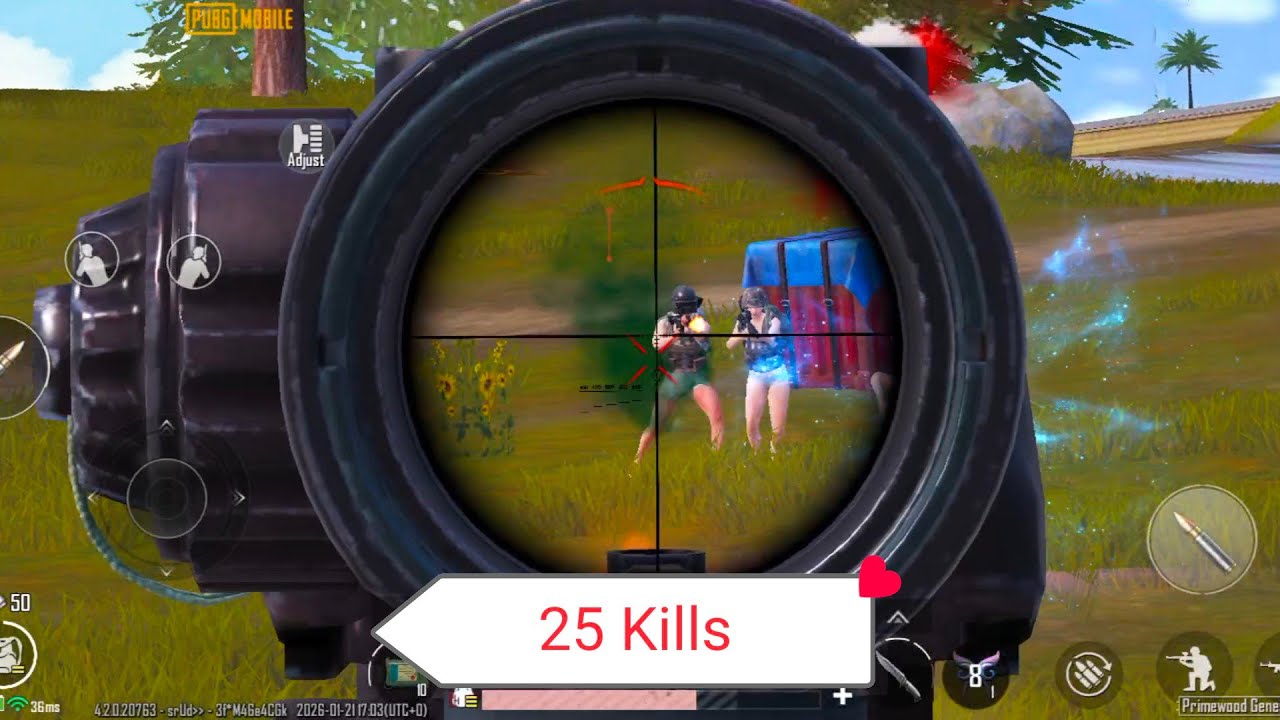 25 Kills - Livik Gameplay - 60 fps