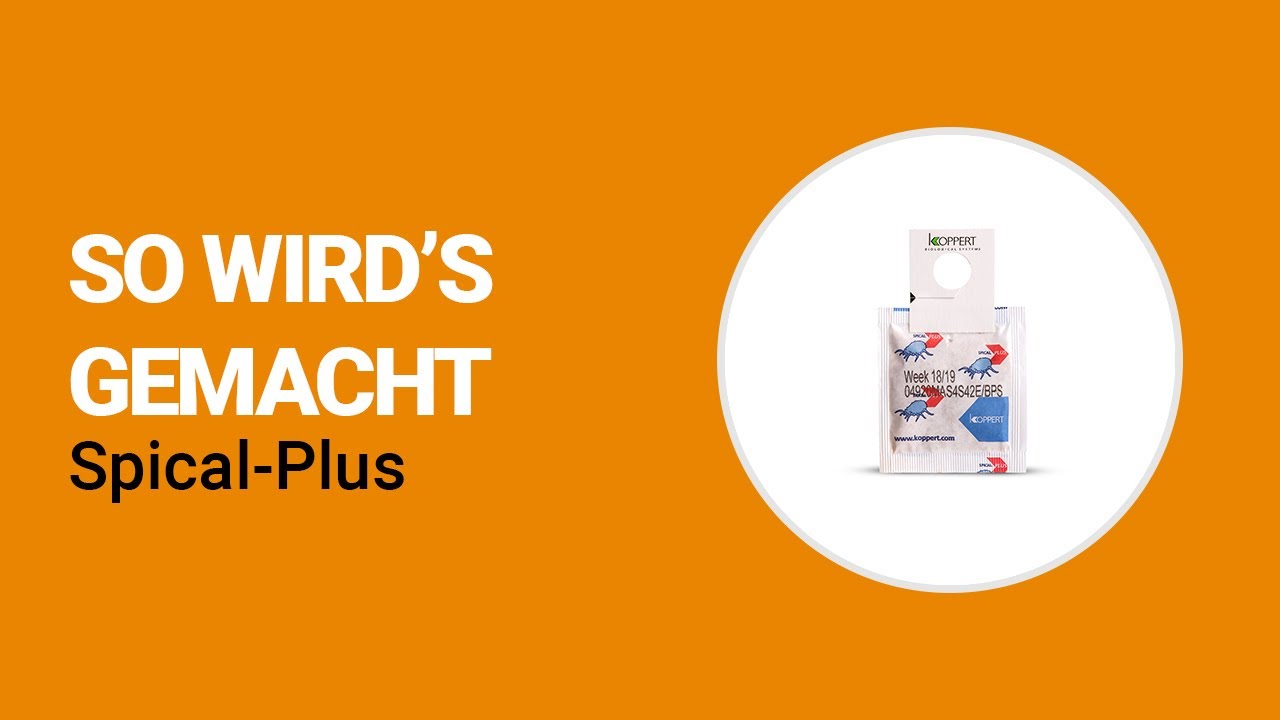 So wird’s gemacht - Koppert Spical-Plus