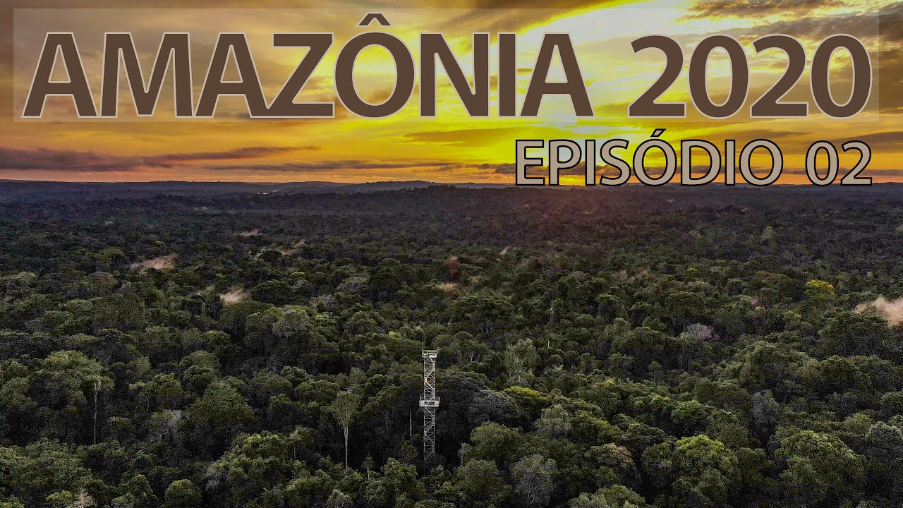Expedição Amazônia 2020 EP-02  A Reserva do Cristalino