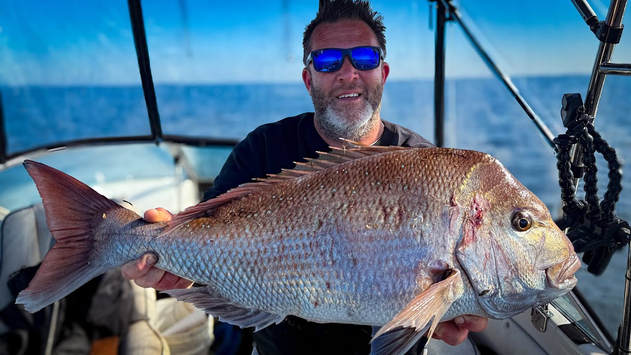 Port Phillip Snapper, ранний сезон 101 — Как босс