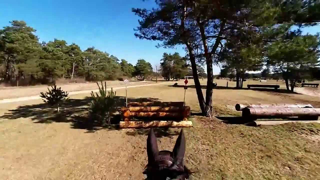 Cross Patty - Grand Parquet Fontainebleau 09-03-2014