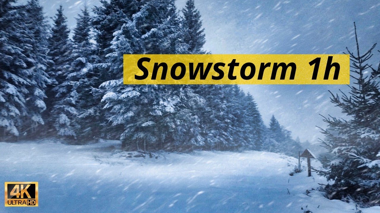 Winter Blizzard Immersion | Heavy Snowstorm & Wind Sounds for Deep Sleep (1 Hour 4K)