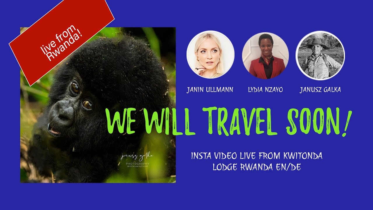 Singita Kwitonda Lodge 🦍  live 🔴 chat DE/EN