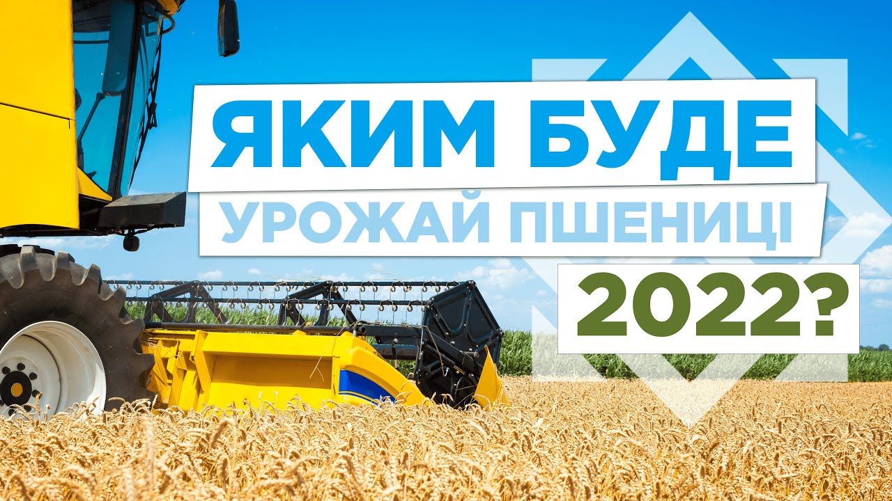 Як вберегти врожай озимої пшениці. Поради агронома. Добрива для озимини - Агроном 24/7