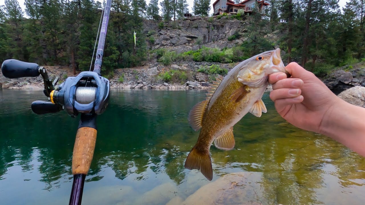 Sight Fishing River Smallmouth Bass | Spokane River Fishing Pt.1