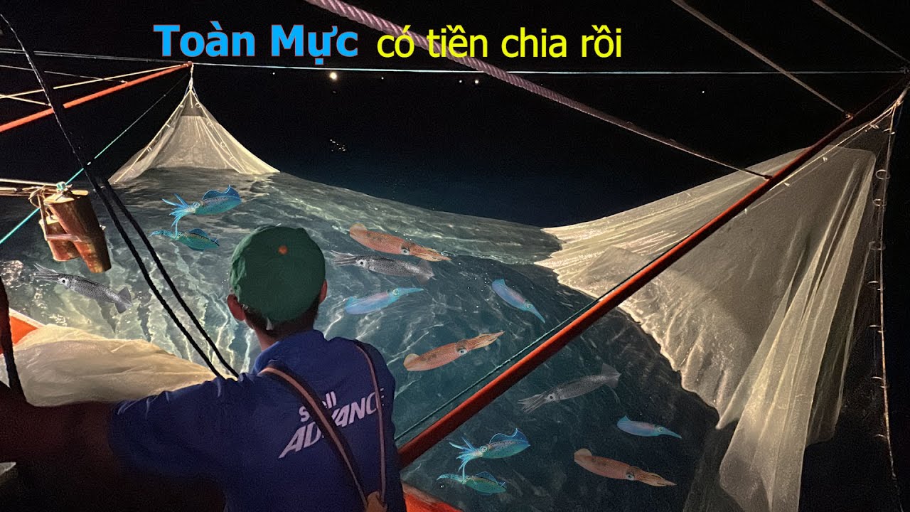 Mành chụp mini ra khơi đầu trăng gặp toàn mực đẹp - Dân Biển