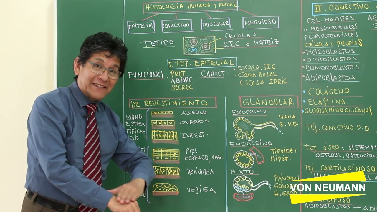 Biología | 5. Histología Animal, Teoría 1