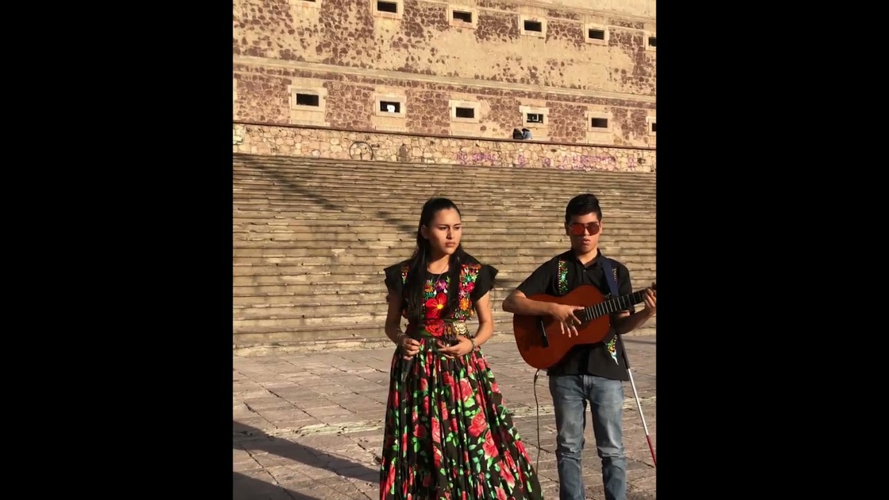 El pastor 🌺🇲🇽 cover LOS HERMANOS REYNA Y JOSÉ