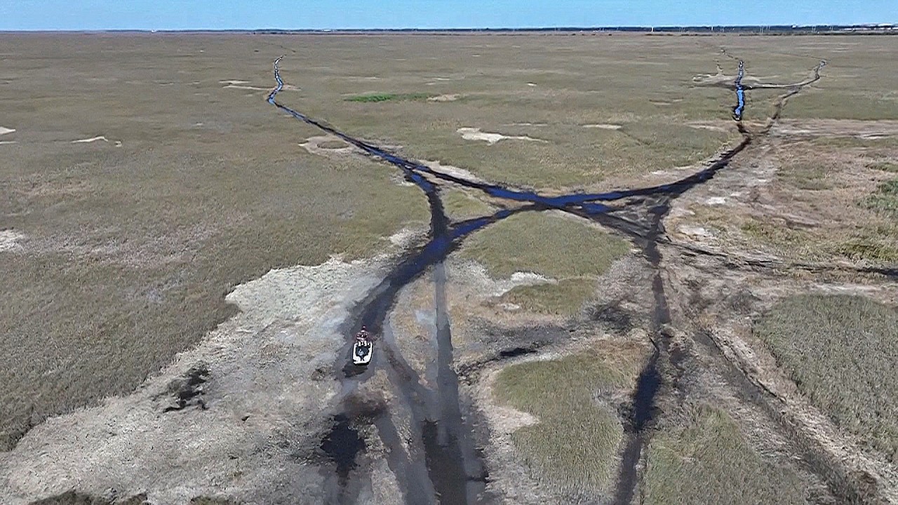 Тропическое болото Эверглейдс на юге Флориды пересыхает второй год подряд