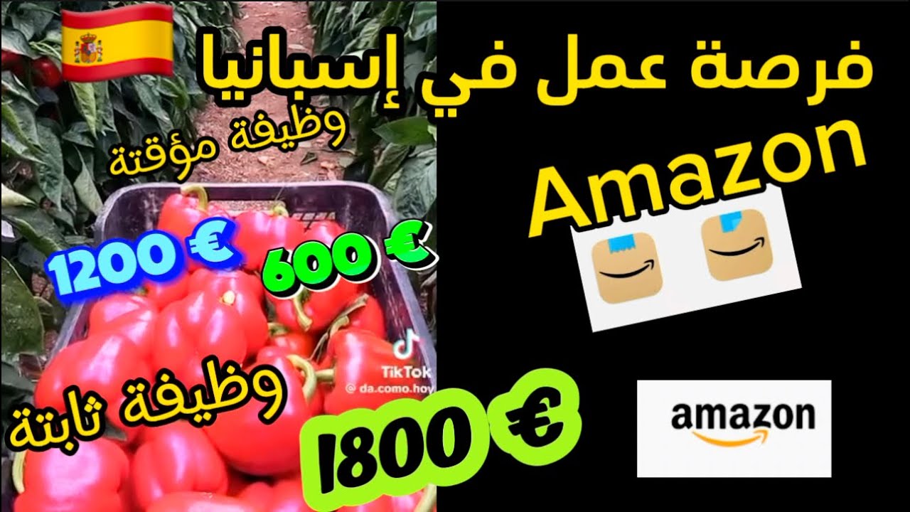 100 وظيفة شاغرة في AMZON ESPAÑA 🇪🇸 أمازون  1800€ / 1200€ / 600 €