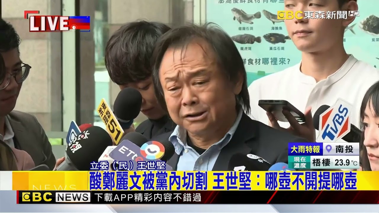 王世堅「祝福」鄭習會 送給民進黨最好的禮物 @newsebc