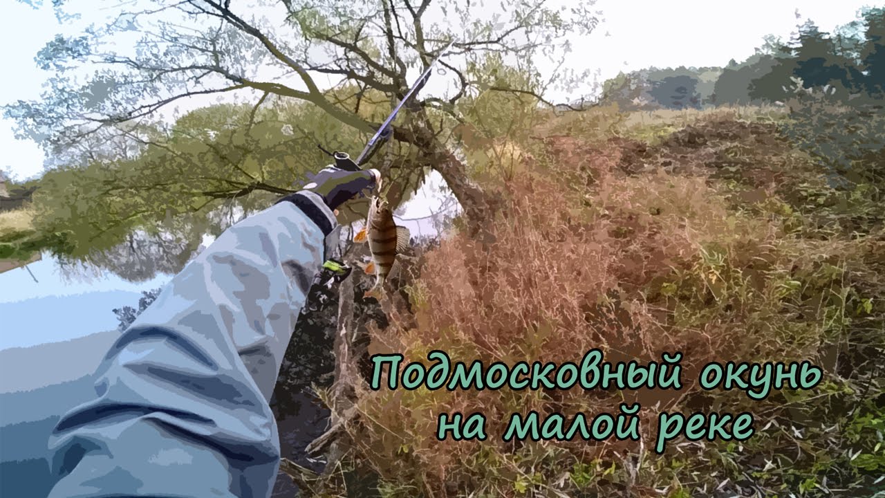 Подмосковный окунь на микроджиг на малой реке 17.10.2015