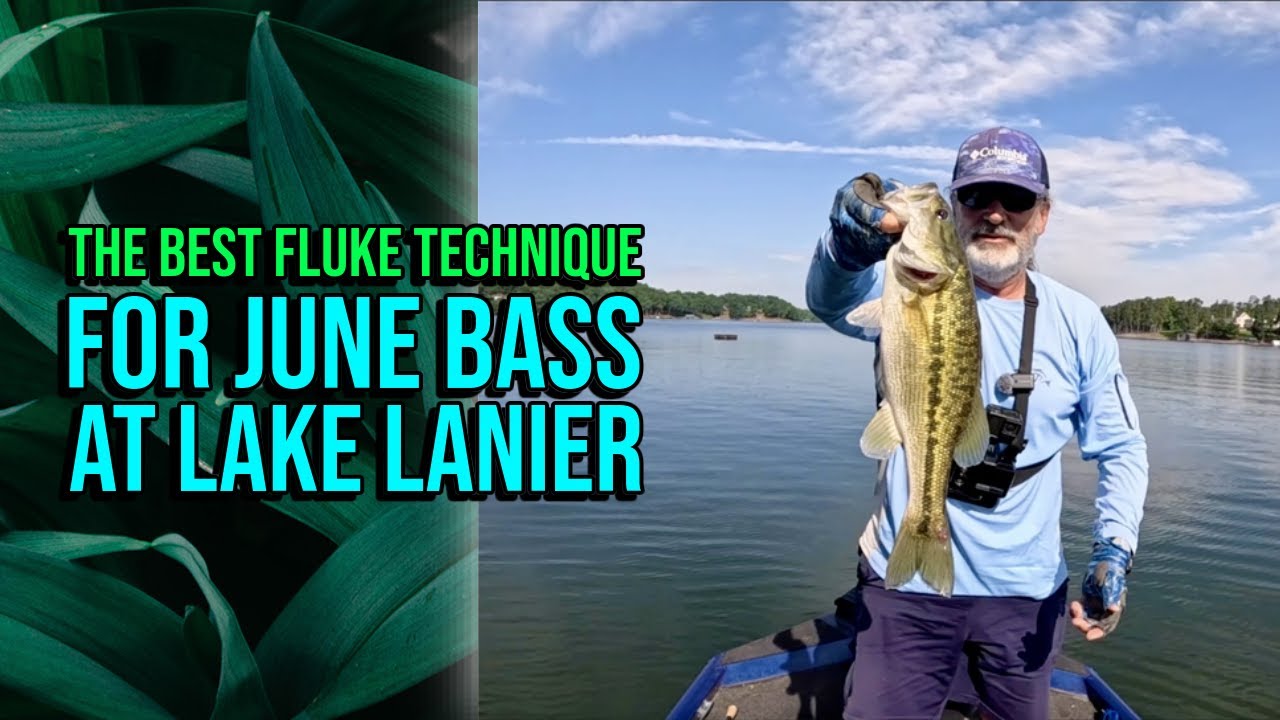 The Best Fluke Technique For June Bass At Lake Lanier