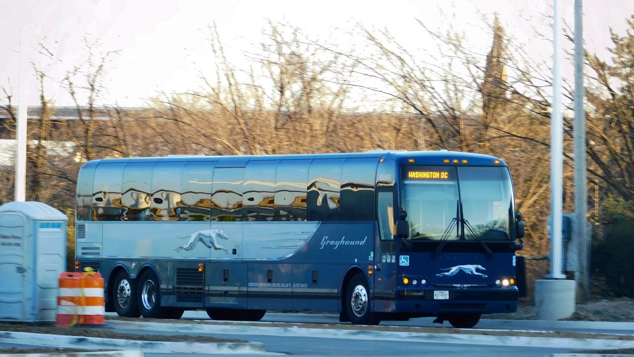 Bus Observations of Greyhound Bus Lines in Baltimore, Maryland (January 2017)