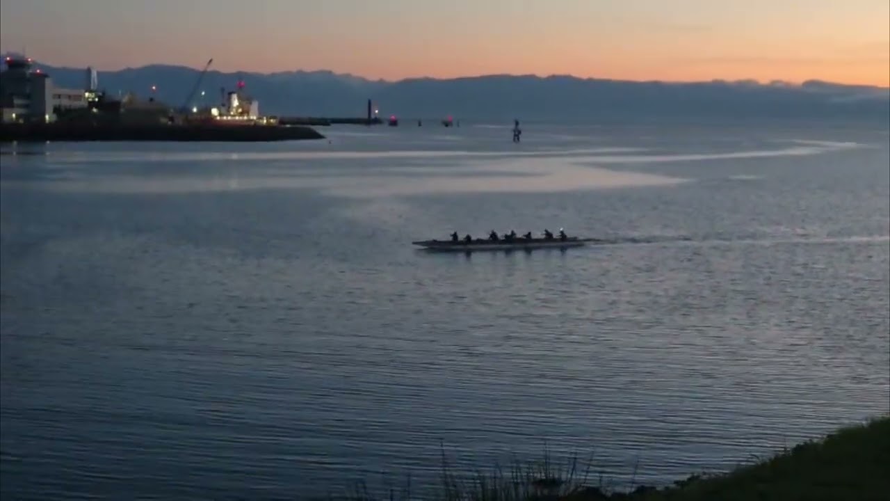 Today in Victoria: Rowing in Harbour #OceanSunset #Relaxing #VictoriaBC  #4K 
