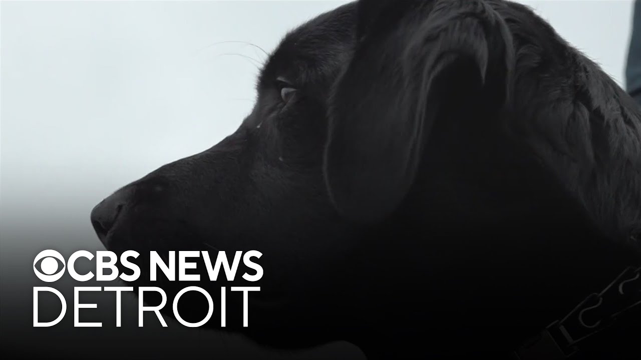 Therapy dog helps students heal after deadly Michigan tornado