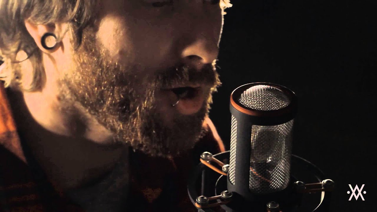 Ellie Goulding - Love Me Like You Do (Cover by Living In Fiction)