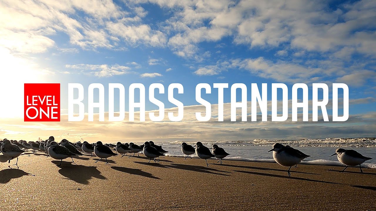 Level One BadAss Standard Sportkite Beach Session