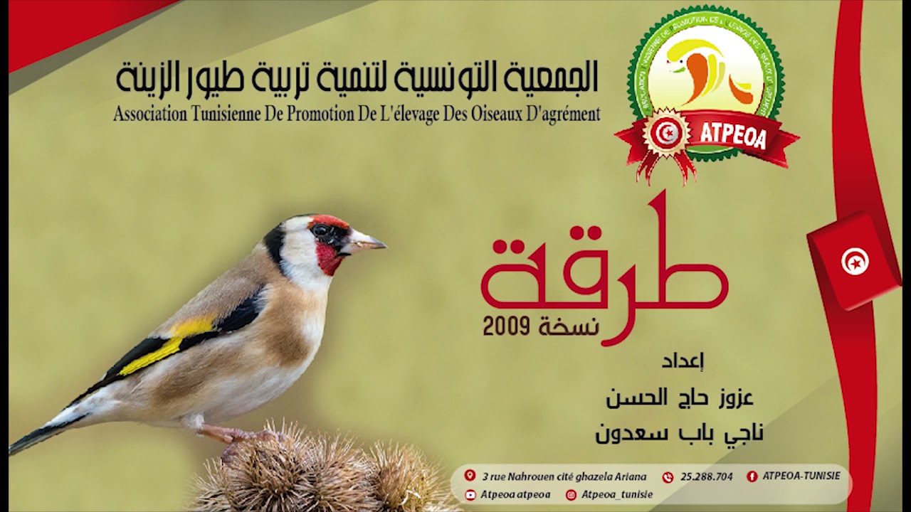 طرقة   تصنيطة 2009