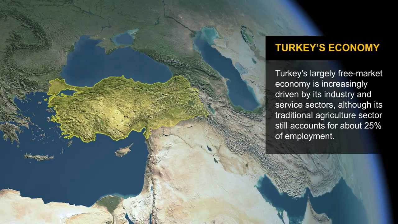 CIA World Factbook: Turkey's Economy
