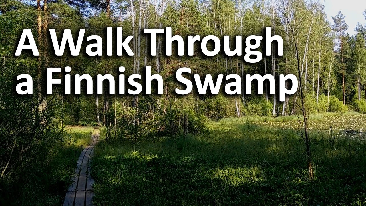 A Walk Through a Finnish Swamp (filmed in June)