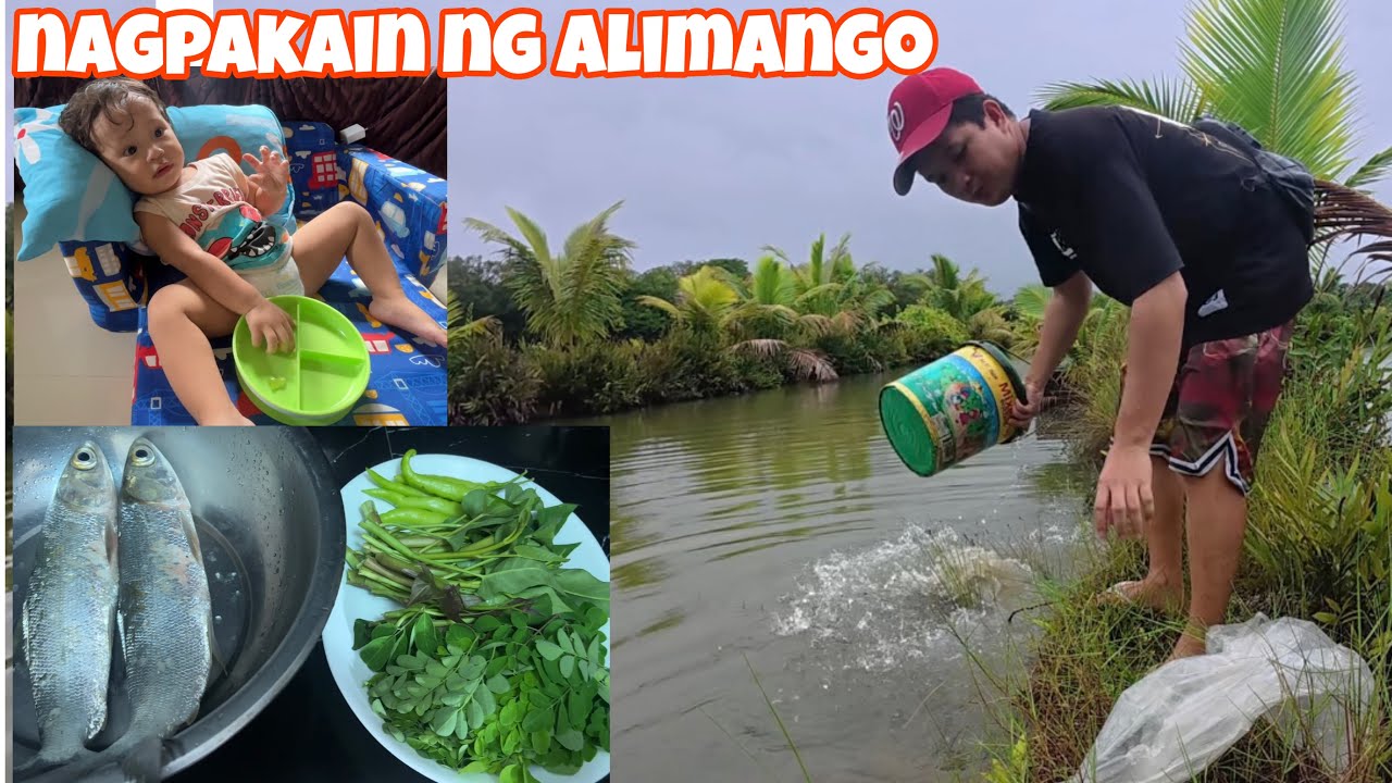 NAGPAKAIN AKO NG MGA ALIMANGO AT MANOK + Nag sigang ng bangus 