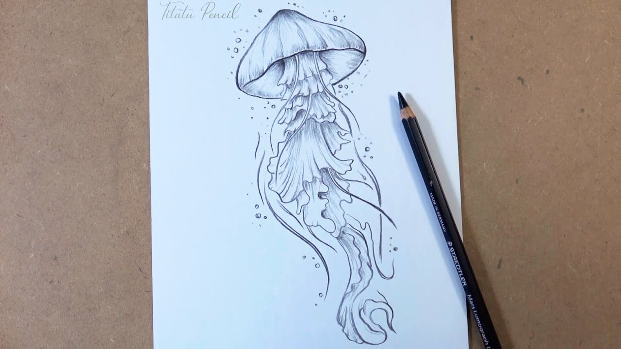 How to draw a Jellyfish step by step | Pencil Drawing