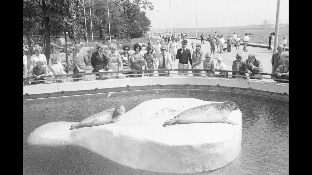 Kiel ● Kiel im Jahre 1973 (Juli-August)