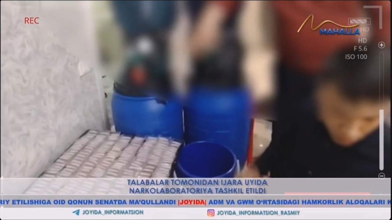 Talabalar tomonidan ijara uyida narkolaboratoriya tashkil etildi (Toshkent)