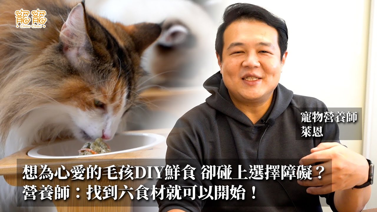 想為心愛的毛孩DIY鮮食 卻碰上選擇障礙？營養師：找到六食材就可以開始！