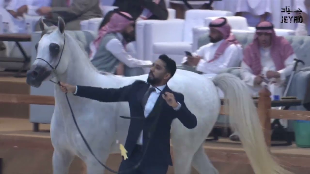 EYAD AL BAHYA