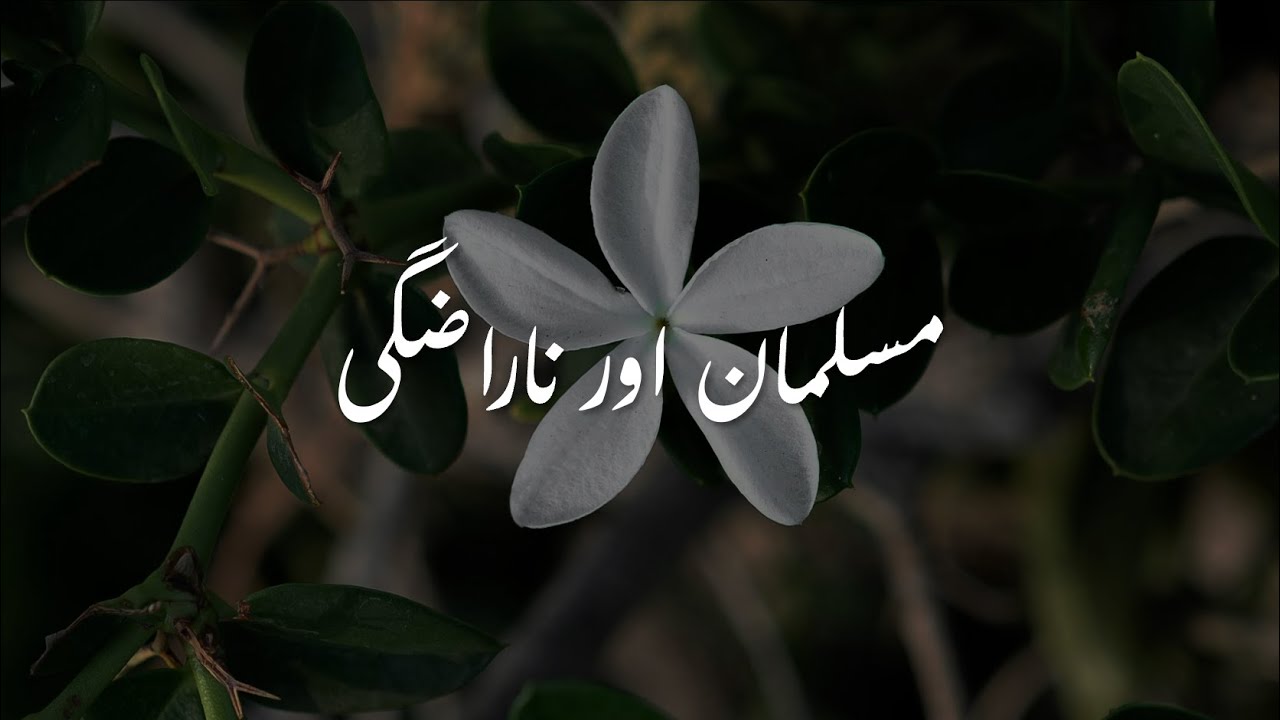 Musalmaan Aur Narazgi - مسلمان اور ناراضگی