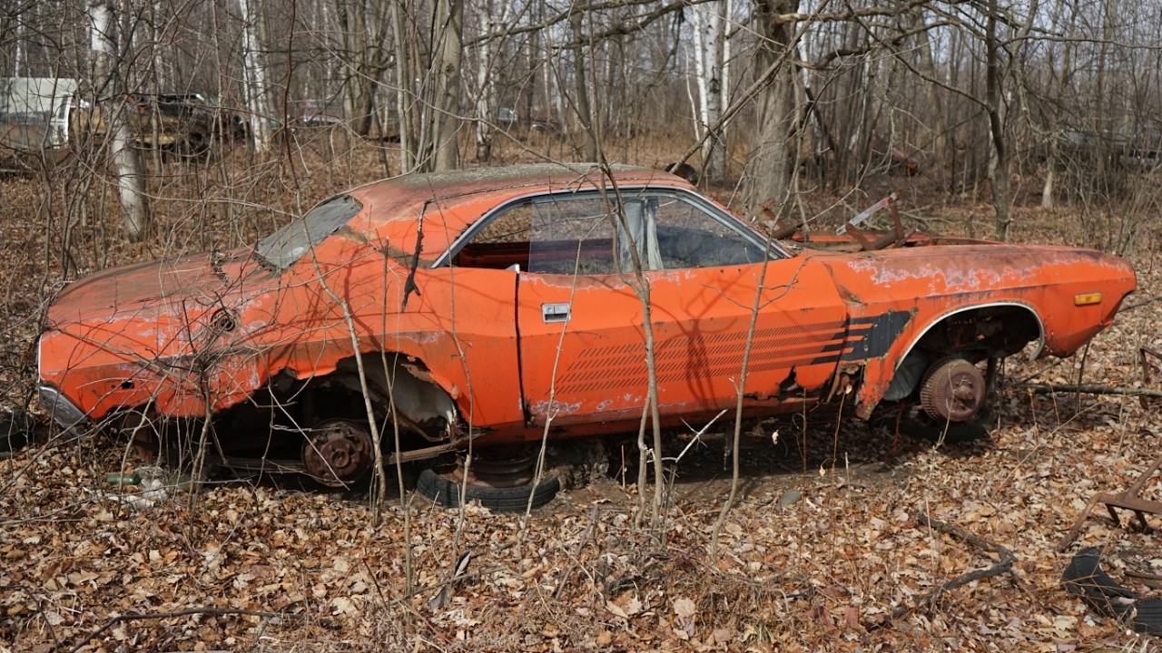 Лес, полный автомобилей MOPAR!