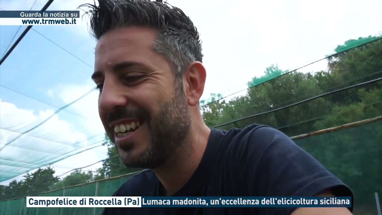 Campofelice di Roccella, Lumaca Madonita un'eccellenza dell'elicicoltura siciliana