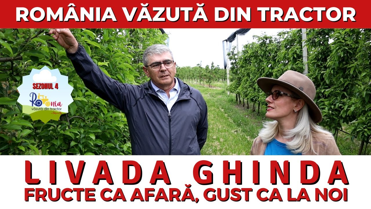 Livada Ghinda, fructe ca afară, gust ca la noi / România văzută din tractor