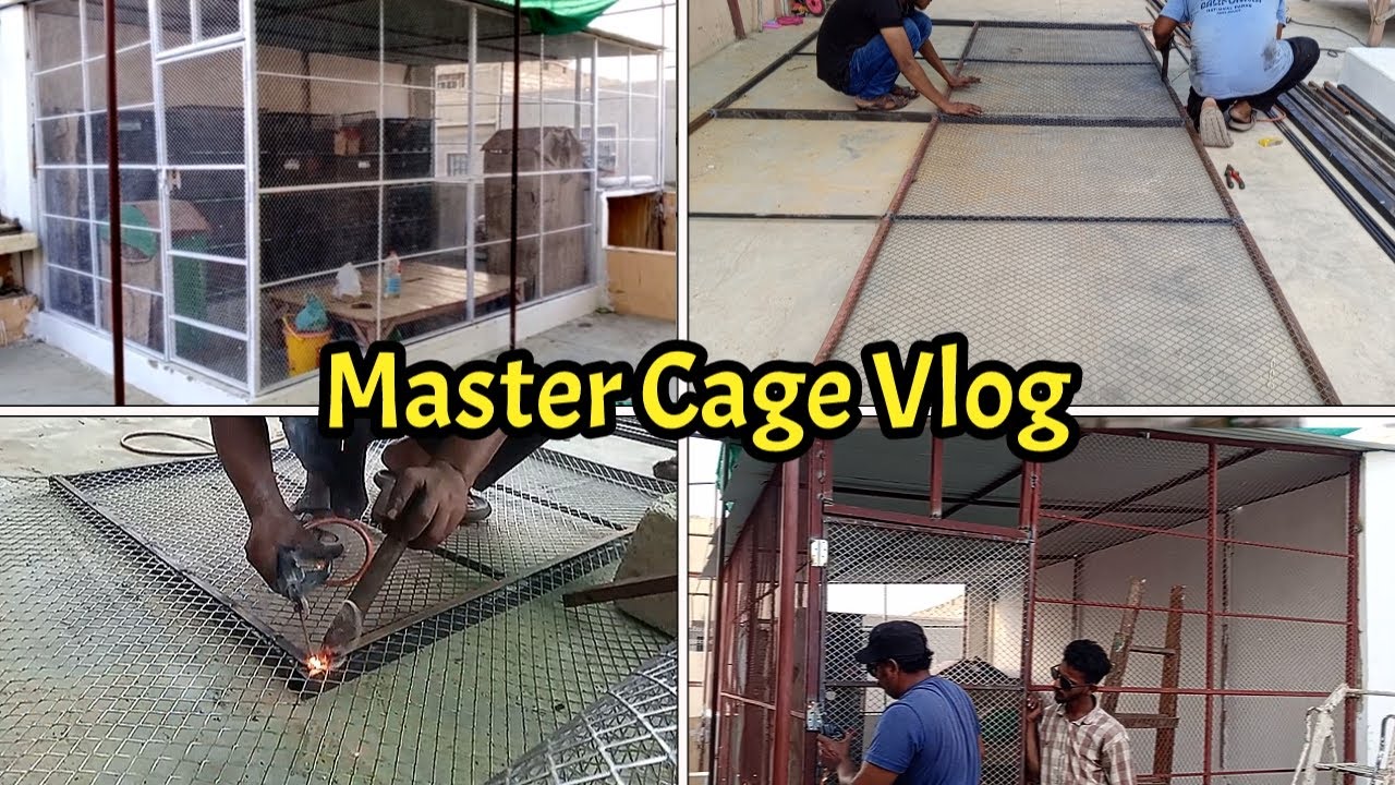 Master Cage Complete Vlog | Unique idea to make birds shed at home😍 | Beautiful Aviary For Birds😍