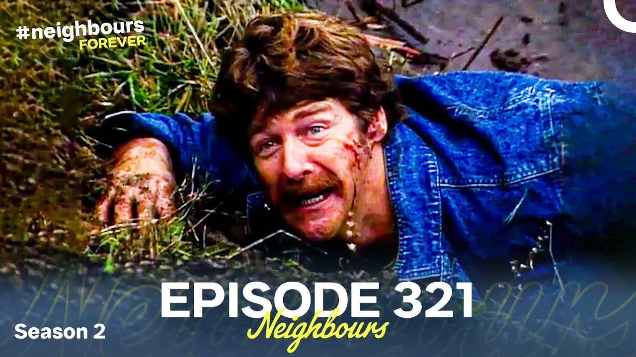 Neighbours Season 2 Episode 321 (1986)