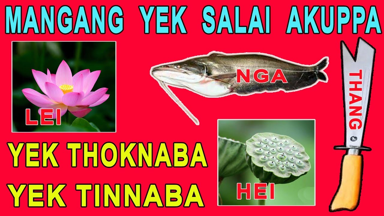 YEK THOKNABA || MANGANG YEK-SALAI GI AKUPPA KHARA || MANGANG YEKKI SAGEISING