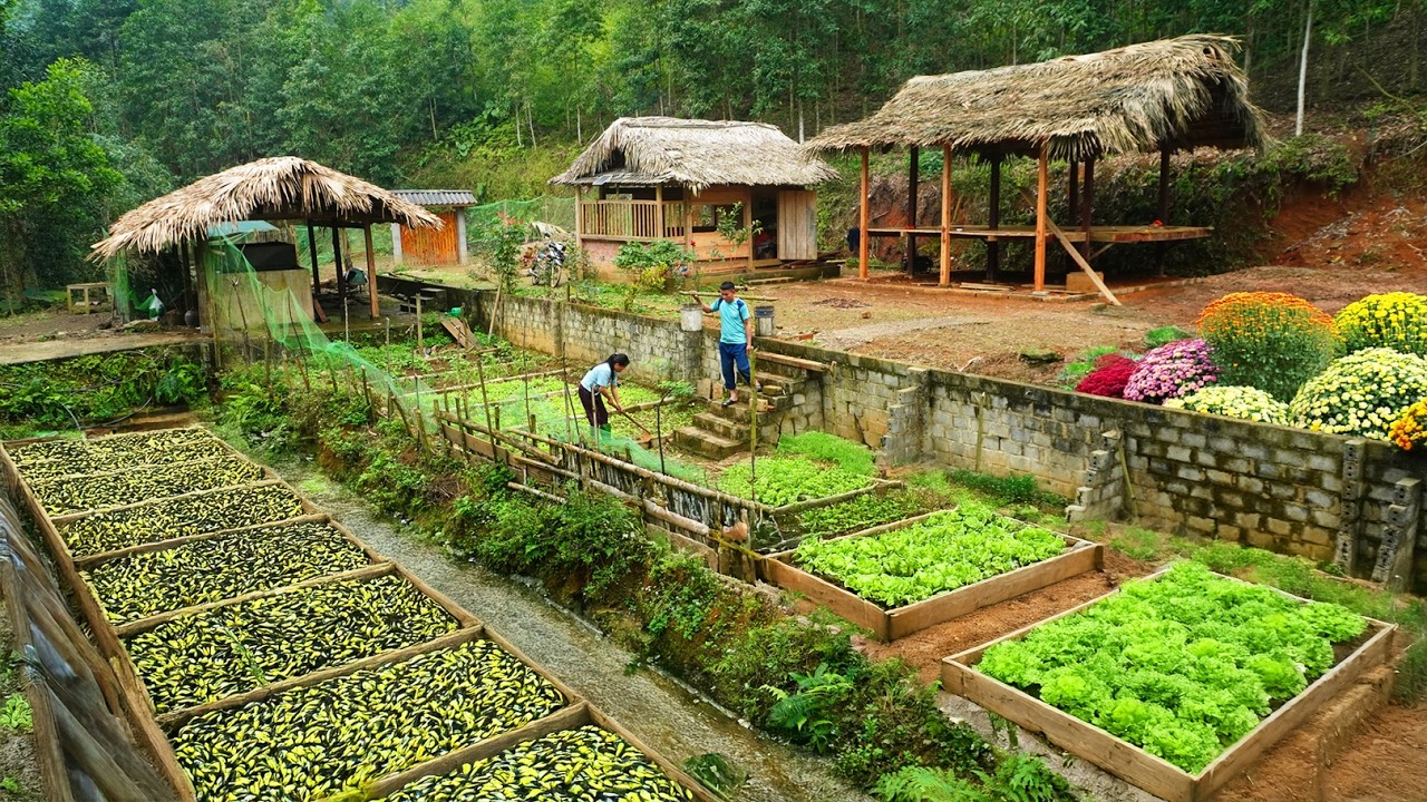 Take care of the vegetable garden, welcome the new year 2026, life in the forest DK.
