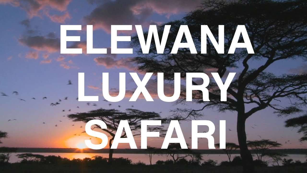 Elewana   Africa Luxury Safari Film Rick Ray